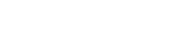 go safer logo full white
