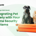 Creating a Safe Haven Integrating Pet Safety with Your Home Security Systems