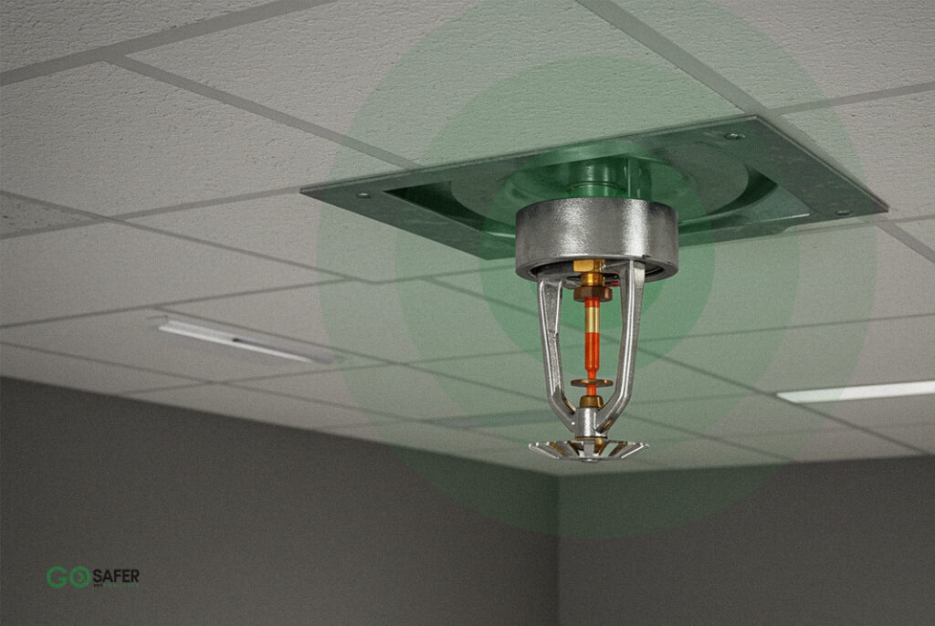 Fire Sprinkler System